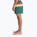 Herren-Badeshorts Quiksilver Everyday Printed Volley 15" forest outside stripe 6