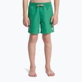 Kinder-Badeshorts Quiksilver Everyday Volley 14" leprechaun 3