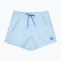 Herren Badeshorts Quiksilver Everyday Solid Volley 15" omphalodes