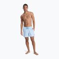Herren Badeshorts Quiksilver Everyday Solid Volley 15" omphalodes 4