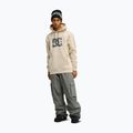 Herrenpullover DC Snowstar oatmeal 2