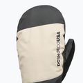 Snowboardhandschuhe für Herren DC Franchise Mitt 10K oatmeal 3
