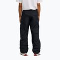 Herren Snowboardhose DC Banshee black 3