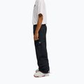Herren Snowboardhose DC Banshee black 5