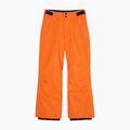 Kinder-Snowboardhose Quiksilver Estate vermillon 6