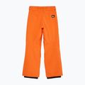 Kinder-Snowboardhose Quiksilver Estate vermillon 7