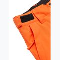 Kinder-Snowboardhose Quiksilver Estate vermillon 9