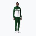 Tennis Jogginghose Herren Lacoste WH7567 green/white