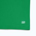 Tennis-Polo-Shirt Lacoste Polo DH2568 fluorine green/sinople 9