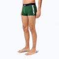 Boxershorts Herren Lacoste 5H1291 3-pak thyme/navy blue/white 3
