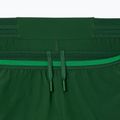 Tennis Shorts Herren Lacoste GH7413 green/calathea 7