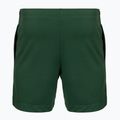 Herren Tennisshorts Lacoste GH0138 green 2