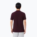 Herren-Poloshirt Lacoste Polo DH5522 oxalis 3
