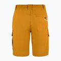 Herren-Trekkingshorts Aulp Banco kombucha 4