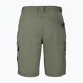Herren-Trekkingshorts Aulp Banco lichen 4