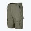 Herren-Trekkingshorts Aulp Banco lichen 5
