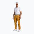 Herren-Trekkinghose Aulp Brady kombucha 2