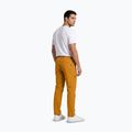 Herren-Trekkinghose Aulp Brady kombucha 3