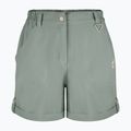 Damen-Trekkingshorts Aulp Derby lichen 3