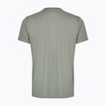 Herren-Shirt Aulp Tommy lichen 4
