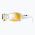Sonnenbrille Julbo Reactive Performance 2-4 zebra/blanc brilliant