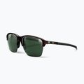 Sonnenbrille Julbo Crossline Polarized 3 brown/green