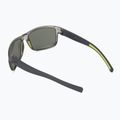 Sonnenbrille Julbo Renegade Ractiv 2-3 tranlucide brilliant 2
