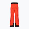 Bild Bild Objekt 20/20 Herren Skihose rot MPT114 2