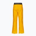 Picture Picture Herren Skihose Object 20/20 gelb MPT114 2