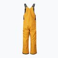 Herren Picture Testy Bib Skihose 10/10 gelb MPT124 2