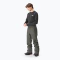 Men's Picture Object 20/20 Skihose rabengrau 2