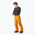 Herren Picture Object 20/20 camel Skihose 2