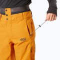 Herren Picture Object 20/20 camel Skihose 4