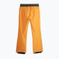 Herren Picture Object 20/20 camel Skihose 9