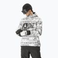 Herren Picture Parker Print 5/5 mood Skijacke