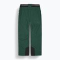 Skihose Herren Picture Object 20/15 ponderosa pine 7