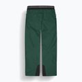 Skihose Herren Picture Object 20/15 ponderosa pine 8