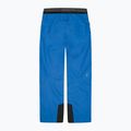 Skihose Herren Picture Object 20/15 deep ultramarine 2