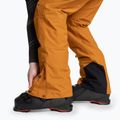 Skihose Herren Picture Object 20/15 honey 5