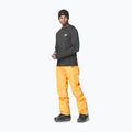 Skihose Herren Picture Plan carrot 2