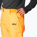 Skihose Herren Picture Plan carrot 4