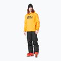 Ski Sweatshirt Hoodie Herren Picture Park carrot 2
