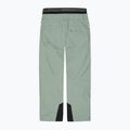 Skihose Herren Picture Object 20/15 shadow 2