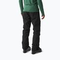 Herren-Skihose Picture Plan 10/10 black 3