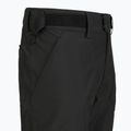 Herren-Skihose Picture Plan 10/10 black 9