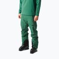 Herren-Skihose Picture Object 20/20 smoke pine 2