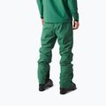 Herren-Skihose Picture Object 20/20 smoke pine 3