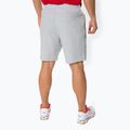 Lacoste Herren Tennisshorts grau GH3822 3