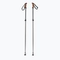 Elan Voyager Rod Skistöcke schwarz CD907620