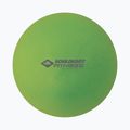 Schildkröt Pilatesball grün 960132